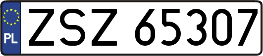 ZSZ65307
