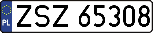 ZSZ65308