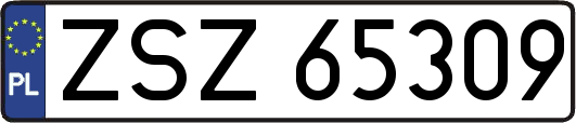 ZSZ65309