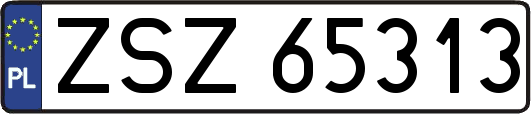 ZSZ65313