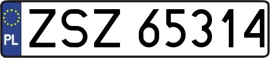 ZSZ65314