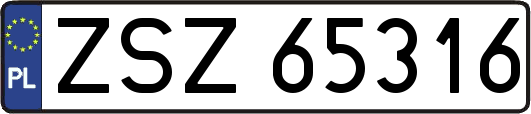 ZSZ65316