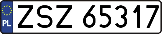 ZSZ65317