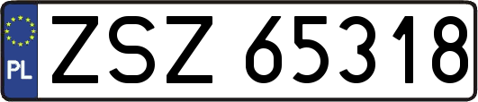 ZSZ65318