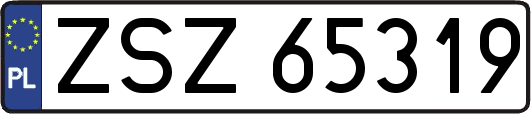 ZSZ65319