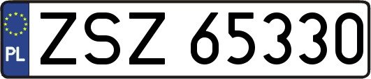 ZSZ65330