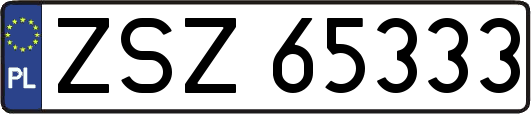 ZSZ65333