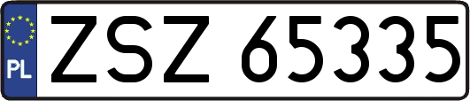 ZSZ65335