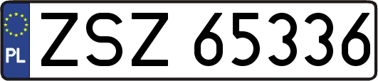 ZSZ65336