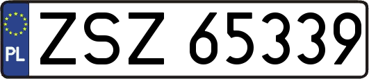 ZSZ65339