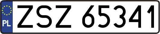 ZSZ65341