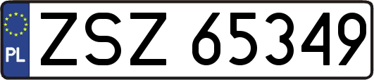 ZSZ65349