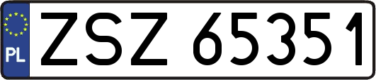 ZSZ65351