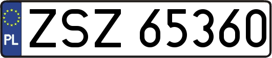 ZSZ65360