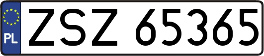 ZSZ65365