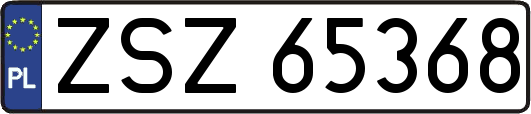 ZSZ65368