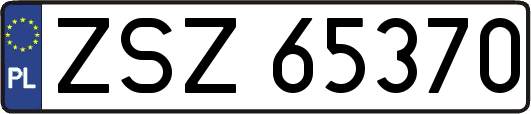 ZSZ65370