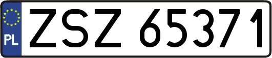 ZSZ65371