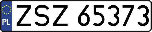 ZSZ65373