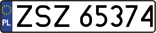 ZSZ65374
