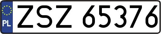 ZSZ65376