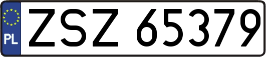 ZSZ65379