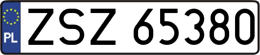 ZSZ65380