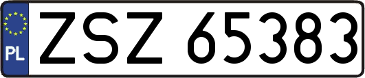 ZSZ65383