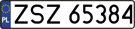 ZSZ65384