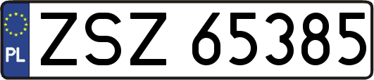 ZSZ65385