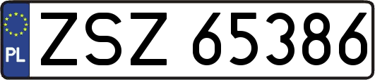 ZSZ65386