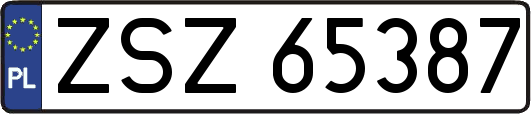 ZSZ65387