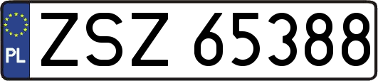 ZSZ65388
