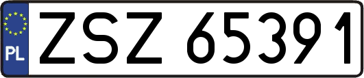 ZSZ65391
