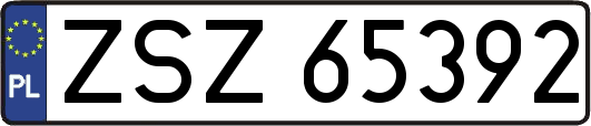 ZSZ65392