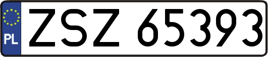 ZSZ65393