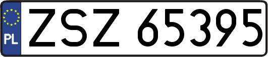ZSZ65395
