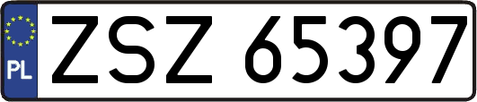 ZSZ65397