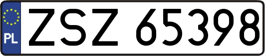 ZSZ65398