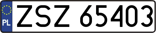 ZSZ65403
