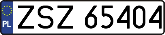 ZSZ65404