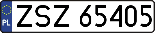 ZSZ65405