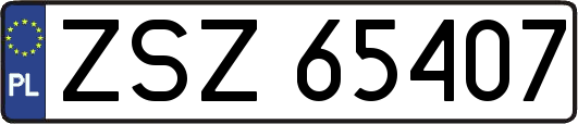 ZSZ65407