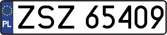 ZSZ65409