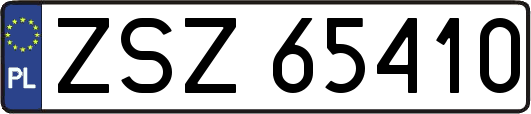 ZSZ65410