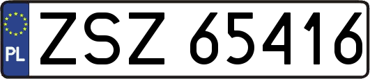 ZSZ65416