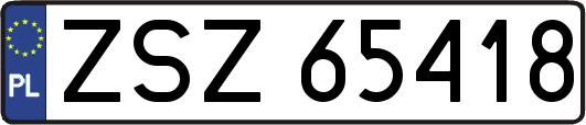 ZSZ65418