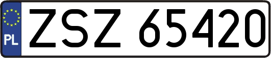 ZSZ65420