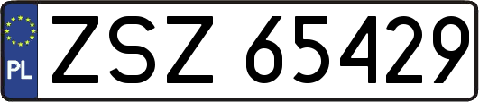 ZSZ65429