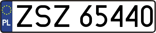 ZSZ65440